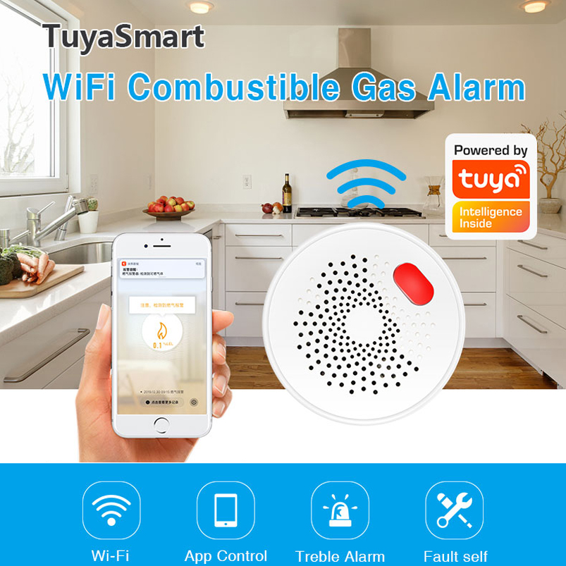 EU/US/UK Tuya Smart Home 2.4G  - огляд і ціна Smart Home Web