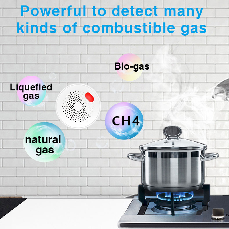 EU/US/UK Tuya Smart Home 2.4G  - огляд і ціна Smart Home Web