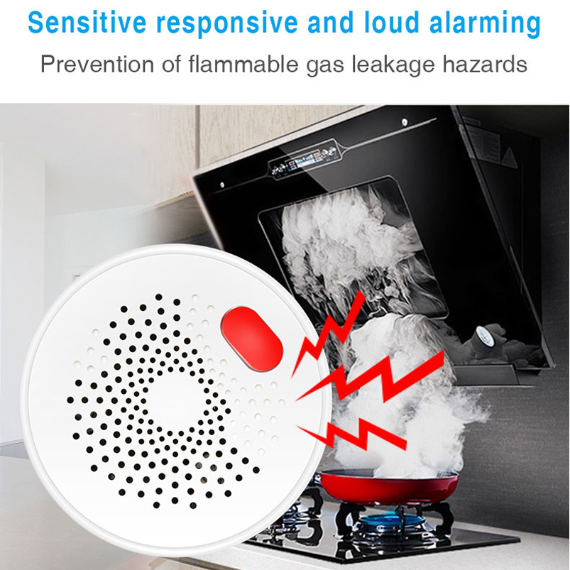 EU/US/UK Tuya Smart Home 2.4G  - огляд і ціна Smart Home Web
