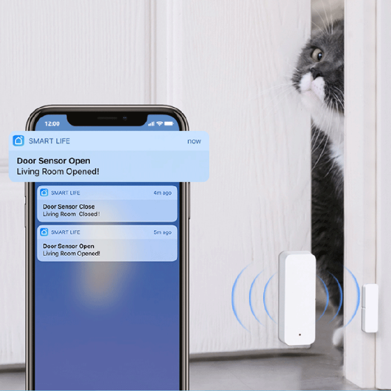Tuya WiFi Zigbee Door Window S - огляд і ціна Smart Home Web