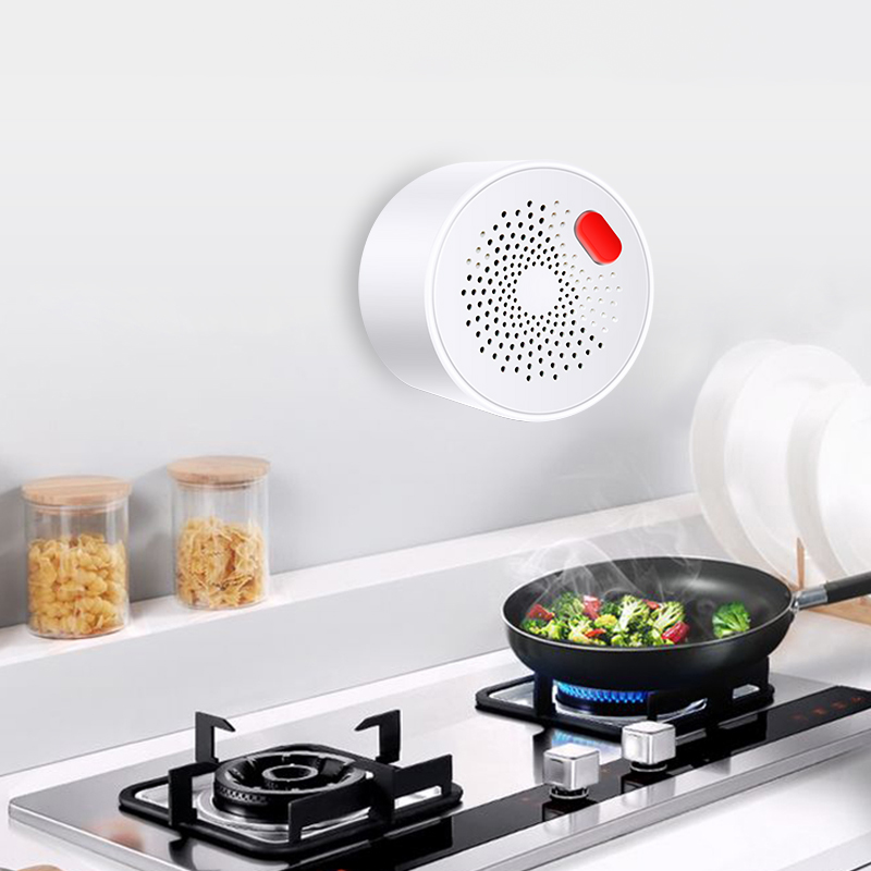 Tuya Smart Home Wifi Natural G - огляд і ціна Smart Home Web